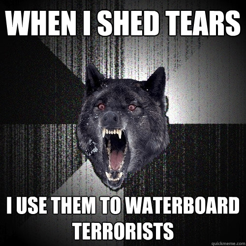 when i shed tears i use them to waterboard terrorists  Insanity Wolf