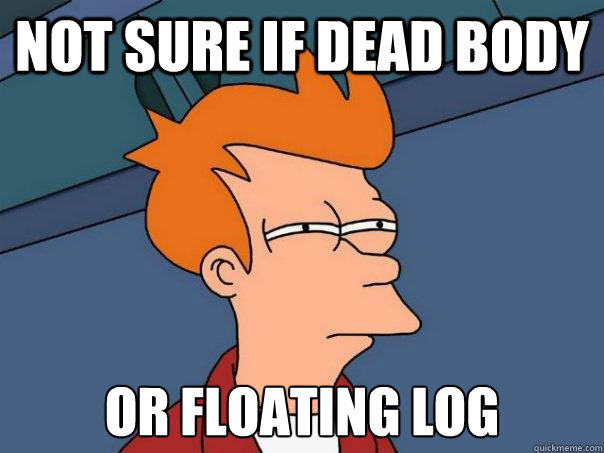 Not sure if dead body Or floating log  Futurama Fry