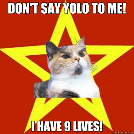 DON'T SAY YOLO TO ME! I HAVE 9 LIVES!  Lenin Cat