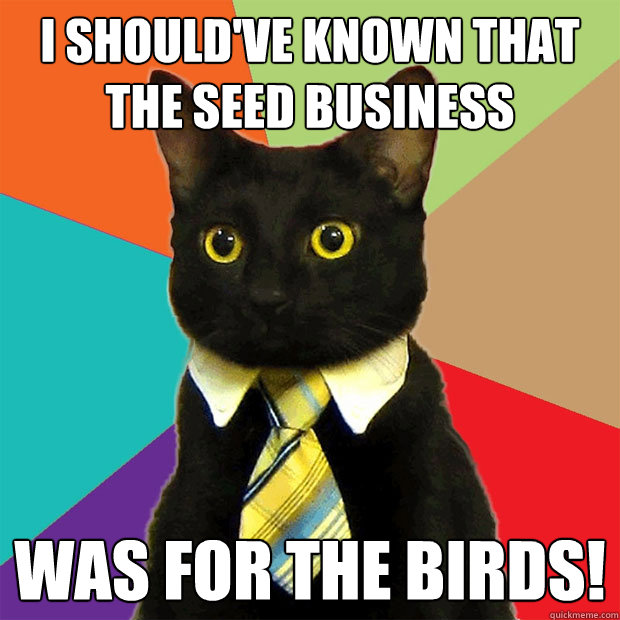 I should've known that the seed business was for the birds!  Business Cat