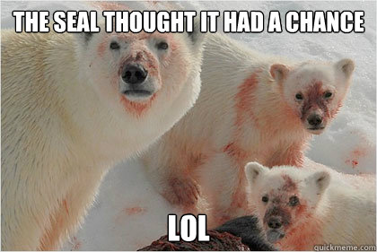 The Seal thought it had a Chance  Lol  Bad News Bears