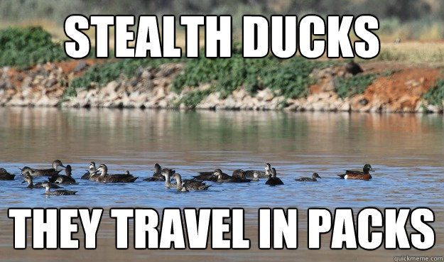 stealth ducks they travel in packs  