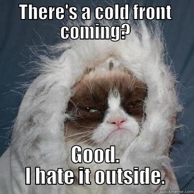 Grumpy Cat Cold Front - THERE'S A COLD FRONT COMING? GOOD. I HATE IT OUTSIDE. Misc