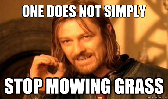 One Does Not Simply stop mowing grass - One Does Not Simply stop mowing grass  Boromir