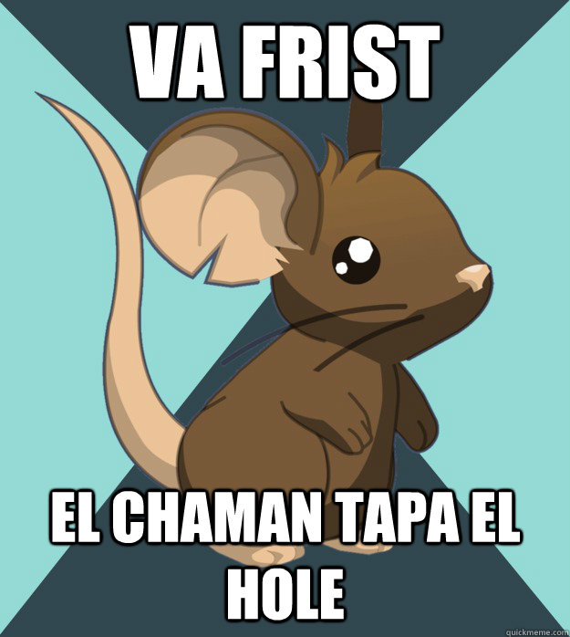 va frist el chaman tapa el hole  