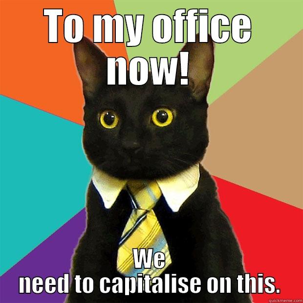 TO MY OFFICE NOW! WE NEED TO CAPITALIZE ON THIS. Business Cat