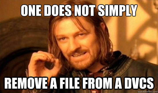 One Does Not Simply remove a file from a DVCS  Boromir