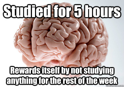 Studied for 5 hours Rewards itself by not studying anything for the rest of the week   Scumbag Brain