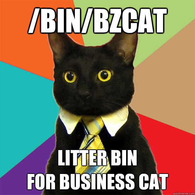 /bin/bzcat litter bin 
for business cat   Business Cat