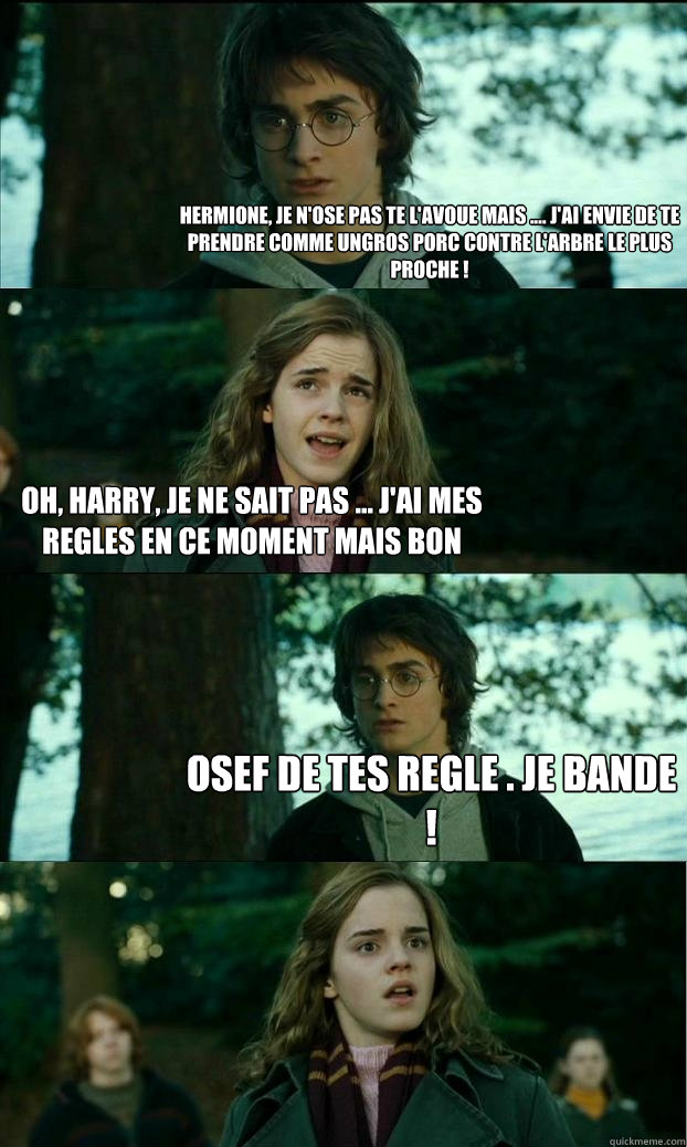 hermione, je n'ose pas te l'avoue mais .... j'ai envie de te prendre comme ungros porc contre l'arbre le plus proche ! oh, harry, je ne sait pas ... j'ai mes regles en ce moment mais bon Osef de tes regle . Je bande !  Horny Harry