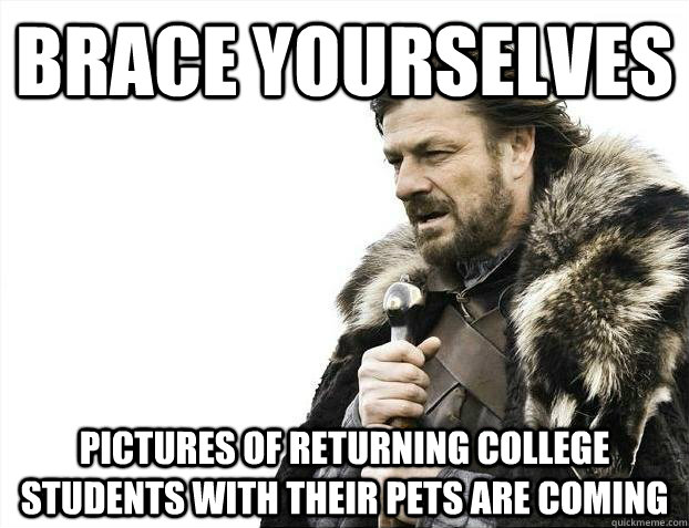 Brace yourselves Pictures of returning college students with their pets are coming  