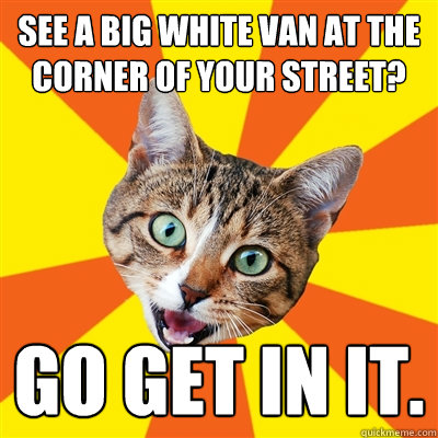 See a big white van at the corner of your street? Go get in it.  Bad Advice Cat