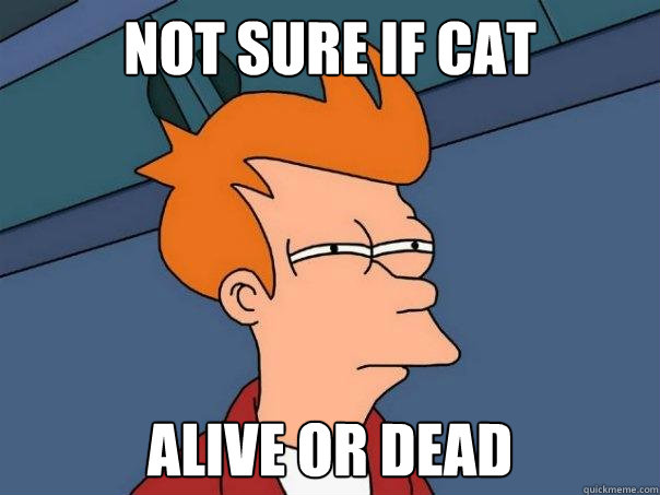 Not sure if cat Alive or Dead - Not sure if cat Alive or Dead  Futurama Fry