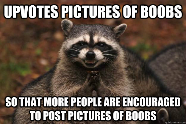 Upvotes pictures of boobs So that more people are encouraged to post pictures of boobs  Evil Plotting Raccoon