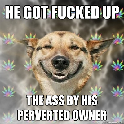 He got fucked up the ass by his perverted owner  Stoner Dog