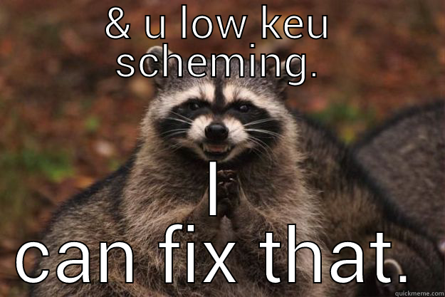 & U LOW KEU SCHEMING. I CAN FIX THAT. Evil Plotting Raccoon