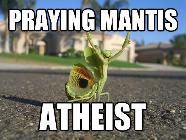 PRAYING MANTIS ATHEIST  