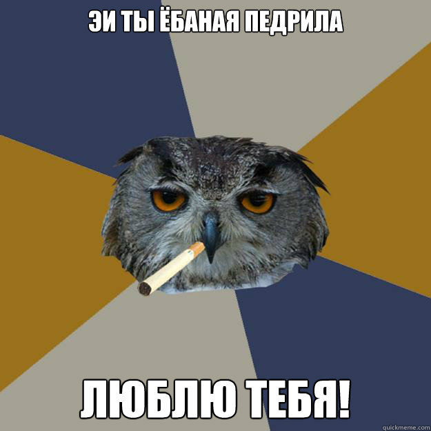 эи ты ёбаная педрила люблю тебя!  Art Student Owl