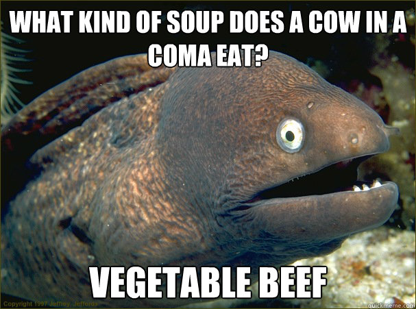 What kind of soup does a cow in a coma eat?  vegetable beef  Bad Joke Eel