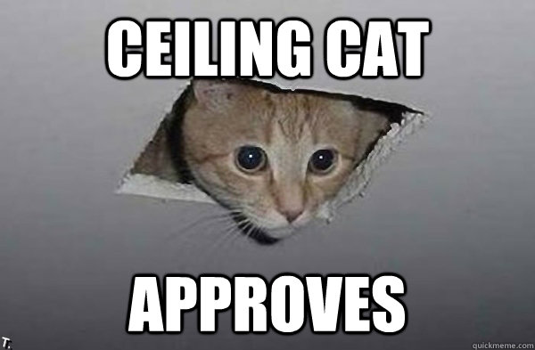 Cat ceiling masturbate