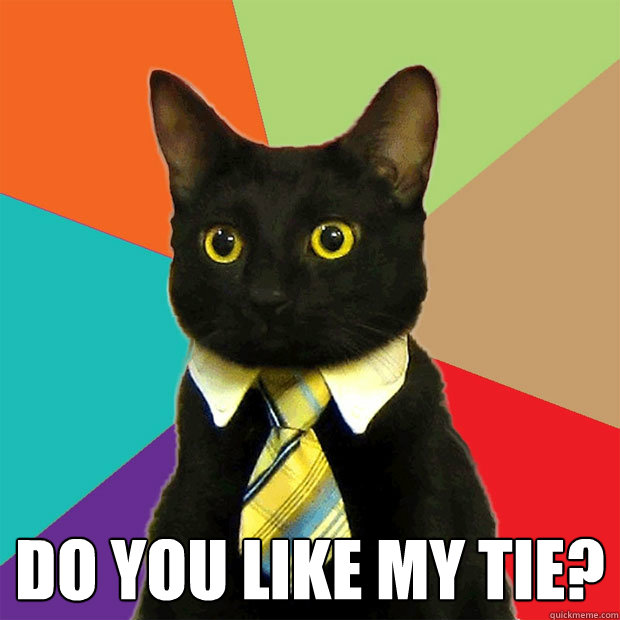  Do you like my tie?  Business Cat