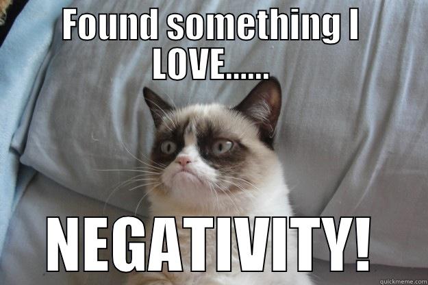 FOUND SOMETHING I LOVE…... NEGATIVITY! Grumpy Cat