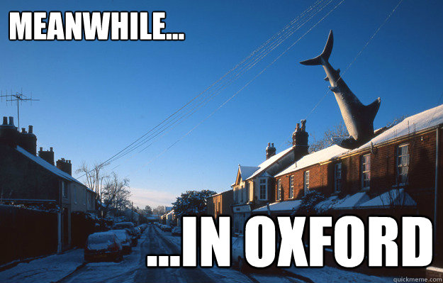 Meanwhile... ...in Oxford - Meanwhile... ...in Oxford  Meanwhile...in Oxford