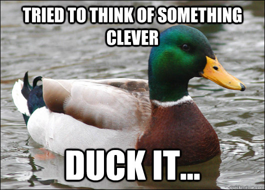 tried to think of something clever duck it... - tried to think of something clever duck it...  Actual Advice Mallard