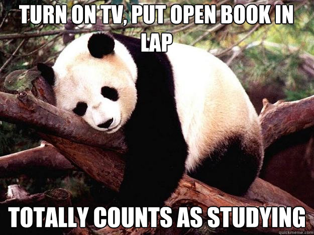 TURN ON TV, PUT OPEN BOOK IN LAP TOTALLY COUNTS AS STUDYING  Procrastination Panda