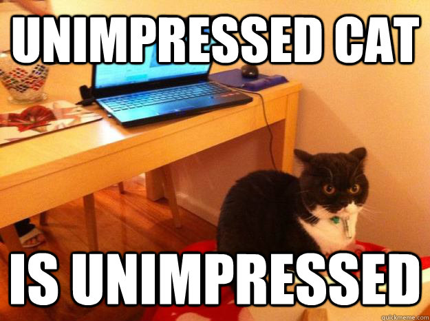 Unimpressed cat is unimpressed - Unimpressed cat is unimpressed  Unimpressed Cat