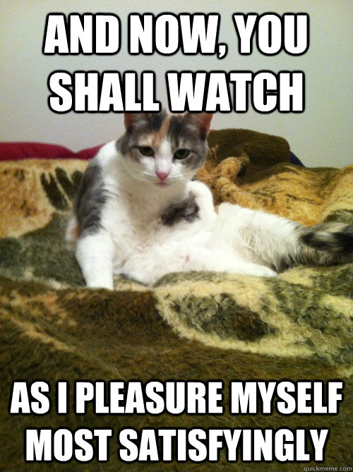 And now, You shall watch As I pleasure myself most satisfyingly  Commanding Cat