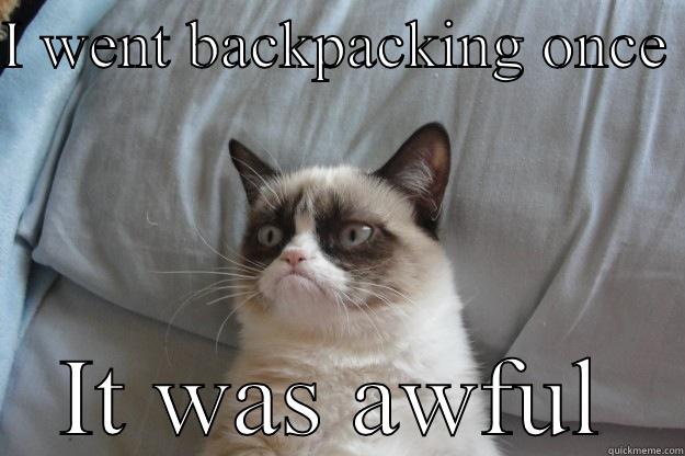 I WENT BACKPACKING ONCE  IT WAS AWFUL Grumpy Cat