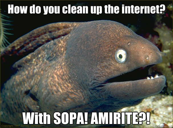 How do you clean up the internet? With SOPA! AMIRITE?!  Bad Joke Eel