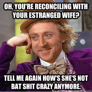 Oh, you're reconciling with your estranged wife? Tell me again how's she's not bat shit crazy anymore.  Condescending Wonka