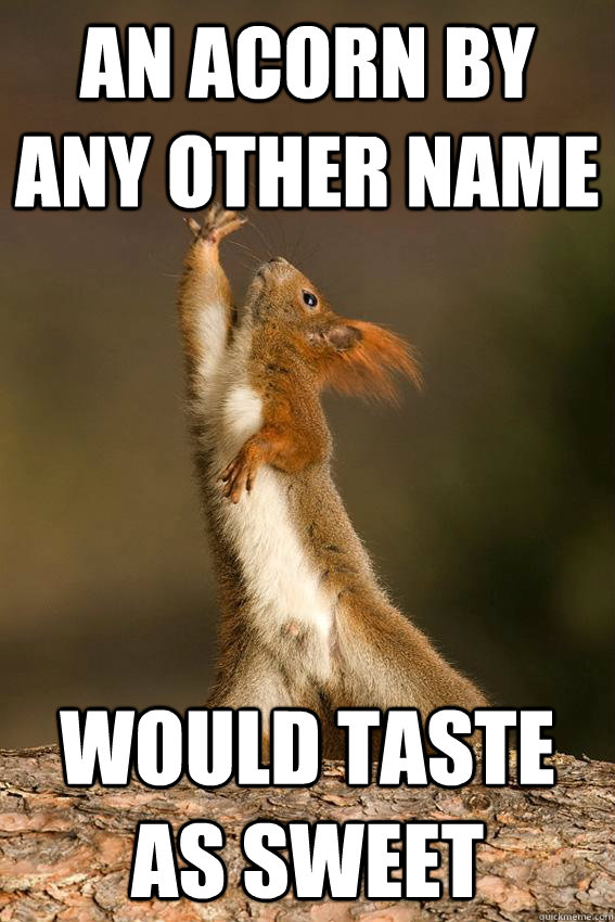 An acorn by any other name would taste as sweet  Shakespeare Squirrel