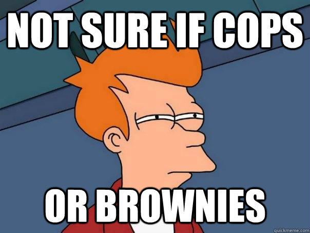 Not sure if Cops or brownies  Futurama Fry