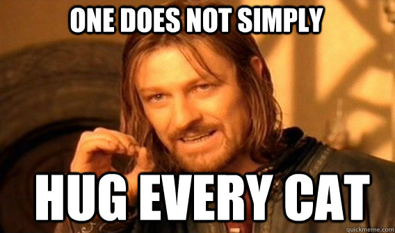 One does not simply  hug every cat  Boromir