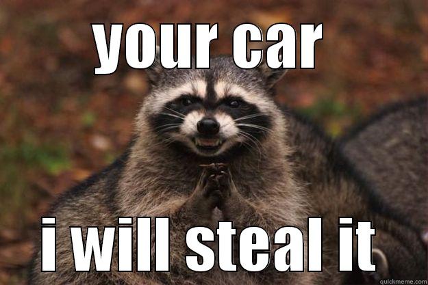 YOUR CAR I WILL STEAL IT Evil Plotting Raccoon