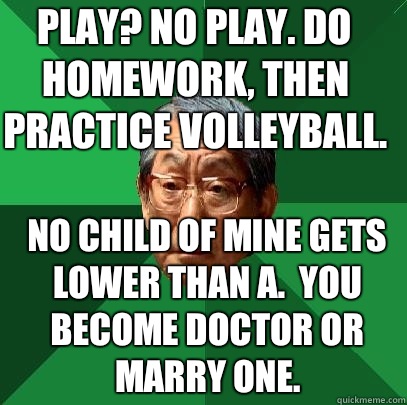 Play? No play. Do homework, then practice volleyball.  No child of mine gets lower than A.  You become doctor or marry one.  High Expectations Asian Father