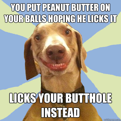 You put peanut butter on your balls hoping he licks it licks your butthole instead  Disgusting Doggy