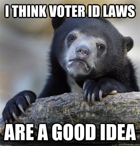 I think voter id laws are a good idea  Confession Bear