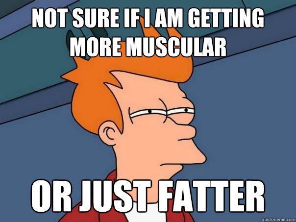 not sure if I am getting more muscular Or just fatter  Futurama Fry