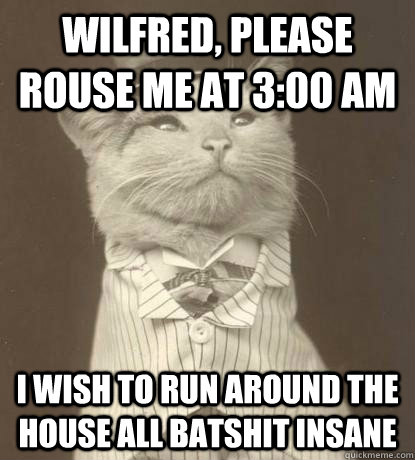Wilfred, please rouse me at 3:00 AM I wish to run around the house all batshit insane  