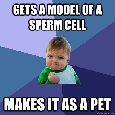 Gets a Model of a sperm cell Makes it as a pet - Gets a Model of a sperm cell Makes it as a pet  Success Kid