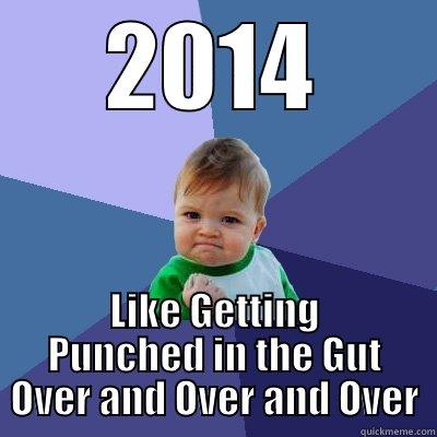 2014 LIKE GETTING PUNCHED IN THE GUT OVER AND OVER AND OVER Success Kid