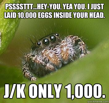 PSSSSTTT...HEY-YOU, YEA YOU. I JUST LAID 10,000 EGGS INSIDE YOUR HEAD. J/K ONLY 1,000. - PSSSSTTT...HEY-YOU, YEA YOU. I JUST LAID 10,000 EGGS INSIDE YOUR HEAD. J/K ONLY 1,000.  Misunderstood Spider