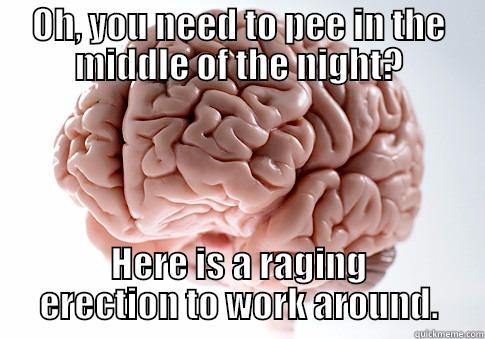 OH, YOU NEED TO PEE IN THE MIDDLE OF THE NIGHT? HERE IS A RAGING ERECTION TO WORK AROUND. Scumbag Brain