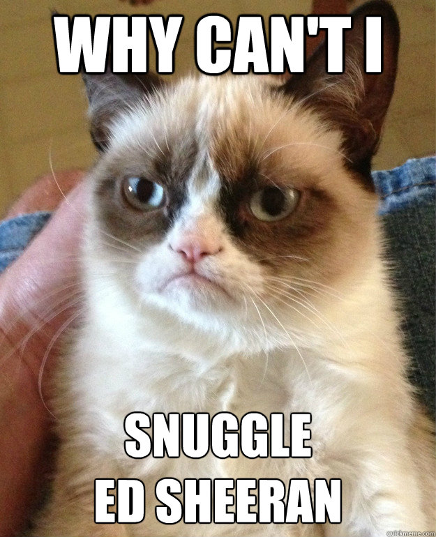 why can't I  snuggle 
ed sheeran  Grumpy Cat