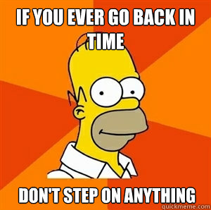 if you ever go back in time  don't step on anything - if you ever go back in time  don't step on anything  Advice Homer