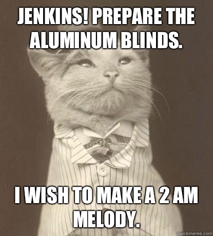 Jenkins! Prepare the aluminum blinds. I wish to make a 2 am melody.  Aristocat